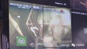 国产铁笼制作方法视频,视频教程详解